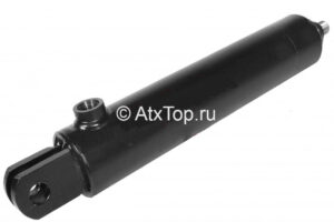 gidrotsilindr-cnsf-40-160z-anna-z-644-2