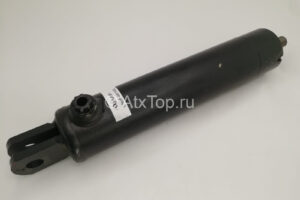 gidrotsilindr-cnsf-40-160z-anna-z-644-1