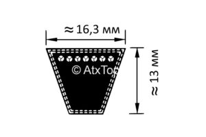 remen-spb1720-gorki-anna-z-644-2
