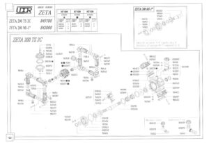 Насос ZETA 200 A TS 2C