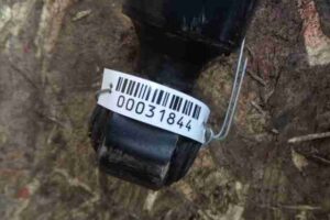 Изображение товара 31844 - 00031844 amortizator zadnij levyj Ford Scorpio 3