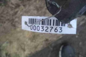 Изображение товара 32763 - 00032763 reshetka bampera   2