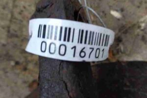 Изображение товара 16701 - 00016701 kulak povorotnyj pravyj   1