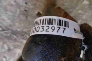 Изображение товара 255594 - 00032977 balka perednyaya Peugeot 107 1