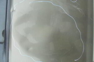 Изображение товара 224w30239 - 08819224 (4)