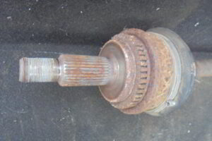 Изображение товара 3145w43354 - DSC010963145 (2)