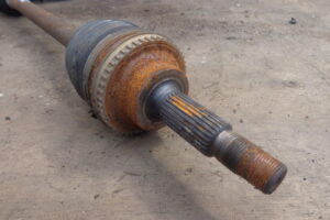 Изображение товара 17145 - DSC036843304 (4)