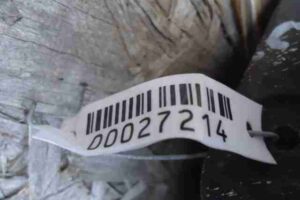 Изображение товара 27214 - 00027214 porog plastikovyj levyj   3