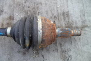 Изображение товара 3205w45955 - DSC000203205 (5)