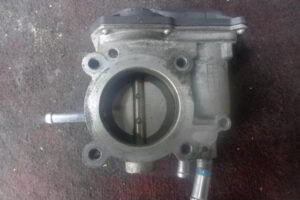 Изображение товара 2951w39080 - DSC008062951 (2)