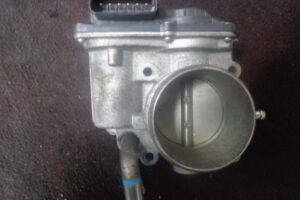 Изображение товара 2951w39080 - DSC008062951 (3)