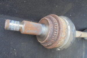 Изображение товара 3145w43355 - DSC010833145 (2)