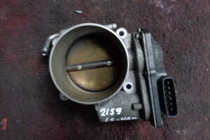 Изображение товара 2159w10601 - DSC029532159