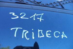 Изображение товара 53524 - DSC035113217 (2)