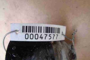 Изображение товара 47577 - 00047577 amortizator zadnij pravyj   3