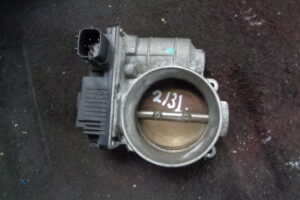 Изображение товара 2131w8631 - DSC016802131