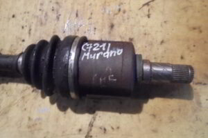 Изображение товара 721w1842 - DSC03297721 (4)