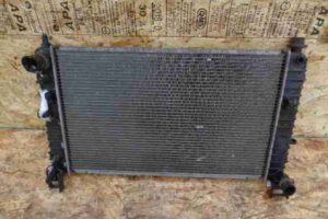 Изображение товара 15367 - 000000 radiator dvs 1