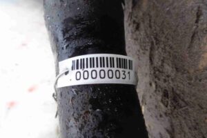 Изображение товара 31 - 00000031 kardan zadnij Toyota Corolla Verso 1