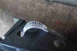 Изображение товара 62 - 00000062 bamper zadnij Citroen Berlingo