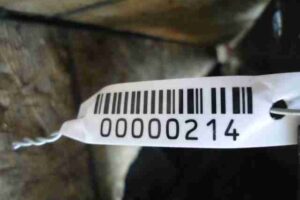 Изображение товара 214 - 00000214 porog plastikovyj pravyj Peugeot 306 3