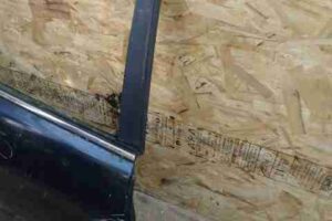 Изображение товара 259 - 00000259 dver zadnyaya pravaya Chrysler Pacifica 2