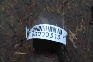 Изображение товара 313 - 00000313 amortizator zadnij levyj 1