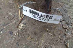 Изображение товара 769 - 00000769 support zadnij pravyj Peugeot 306 3