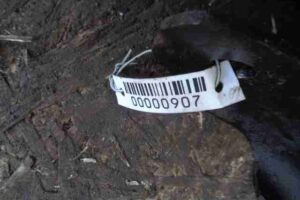 Изображение товара 907 - 00000907 rychag zadnij levyj nizhnij Pontiac Vibe 2