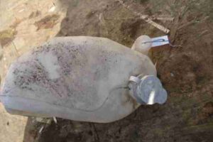 Изображение товара 915 - 00000915 bachok rasshiritelnyj 2