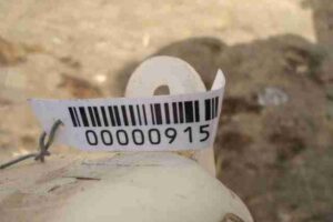 Изображение товара 915 - 00000915 bachok rasshiritelnyj 3