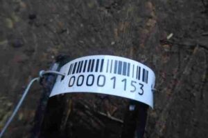 Изображение товара 1153 - 00001153 amortizator zadnij levyj 1