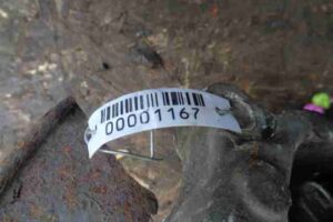 Изображение товара 1167 - 00001167 kulak povorotnyj pravyj Pontiac Vibe 1