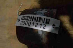 Изображение товара 1212 - 00001212 rychag zadnij pravyj 2