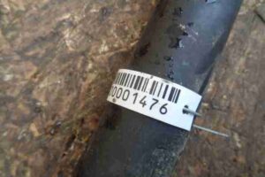 Изображение товара 1476 - 00001476 kardan perednij 1