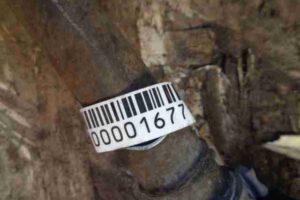 Изображение товара 1677 - 00001677 poluos zadnyaya levaya Peugeot 306 3