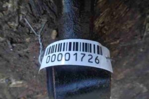 Изображение товара 1726 - 00001726 rychag zadnij levyj Lexus RX 1