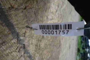 Изображение товара 1757 - 00001757 porog plastikovyj levyj 1
