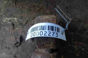 Изображение товара 2273 - 00002273 amortizator zadnij levyj 1