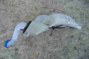 Изображение товара 2563 - 00002563 bachok omyvatelya 1