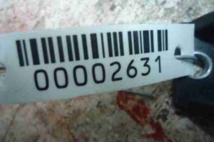 Изображение товара 2631 - 00002631 blok upravleniya stoyanochnogo tormoza 2