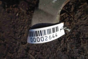 Изображение товара 2644 - 00002644 kulak povorotnyj pravyj 1