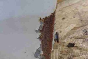 Изображение товара 115409 - 00002646 krylo pravoe 1