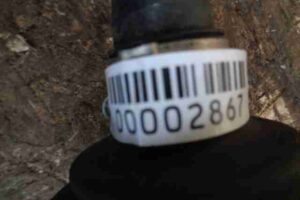 Изображение товара 2867 - 00002867 poluos zadnyaya levaya Pontiac Vibe 1