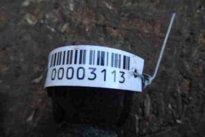 Изображение товара 3113 - 00003113 amortizator zadnij levyj Toyota Venza 1