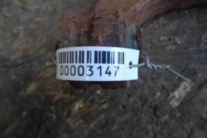 Изображение товара 3147 - 00003147 rychag zadnij pravyj verkhnij Peugeot 306 2