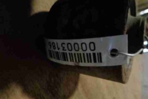 Изображение товара 3186 - 00003186 rychag zadnij pravyj Audi 80 1