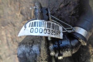 Изображение товара 3259 - 00003259 radiator maslyanyj 3