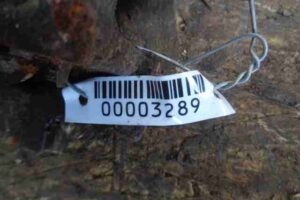 Изображение товара 3289 - 00003289 support zadnij pravyj Toyota Hiace 1