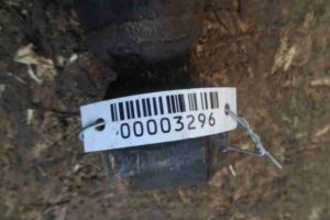 Изображение товара 3296 - 00003296 amortizator perednij levyj 2